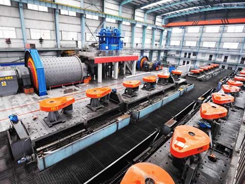 ѡ��������