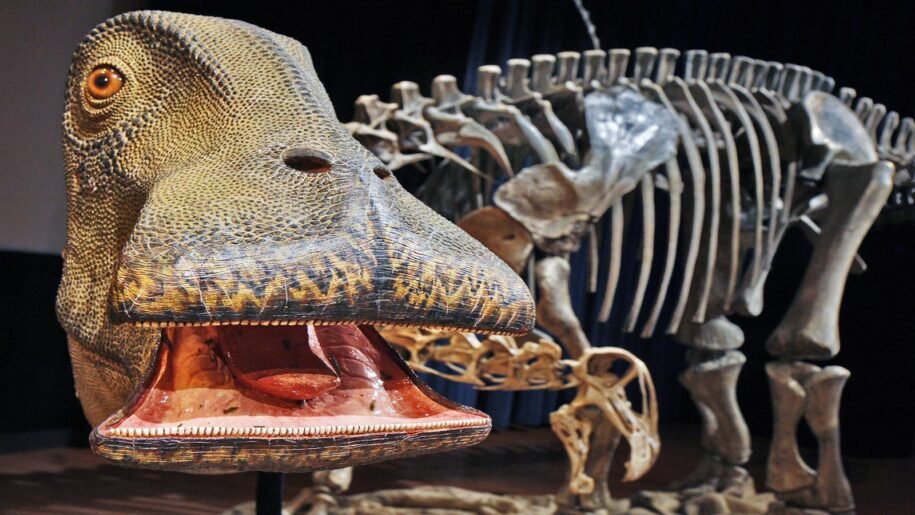 A Dinosaur With 500 Teeth, Who? The World’s Oddest Dinosaur With the Most Teeth