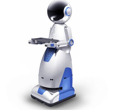 Robot For Restaurant: What Specifications They Offer